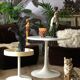 Tulip foot coffee table
