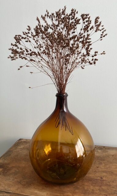 Lady-jeanne amber 10L bi-shade