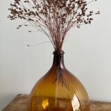 Lady-jeanne amber 10L bi-shade