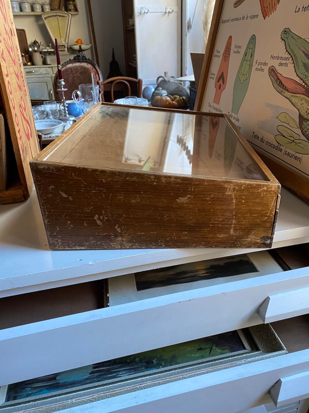 Antique trade showcase