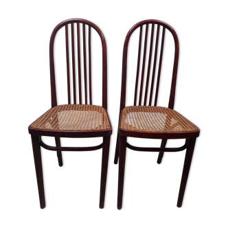 Pair of chair Thonet, 1900