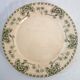 8 flat ironstone plates "Palmyre" Sarreguemines