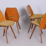 Set of four mid-century walnut chairs by Frantisek Jirak, Tatra Nabytok, Czechia, 1950s