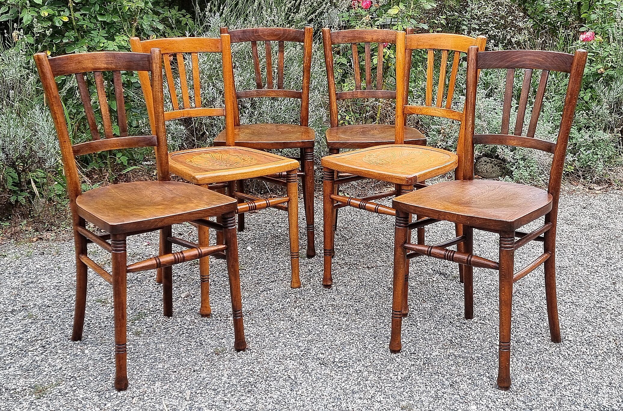 6 chairs bistrot companion 30/40s