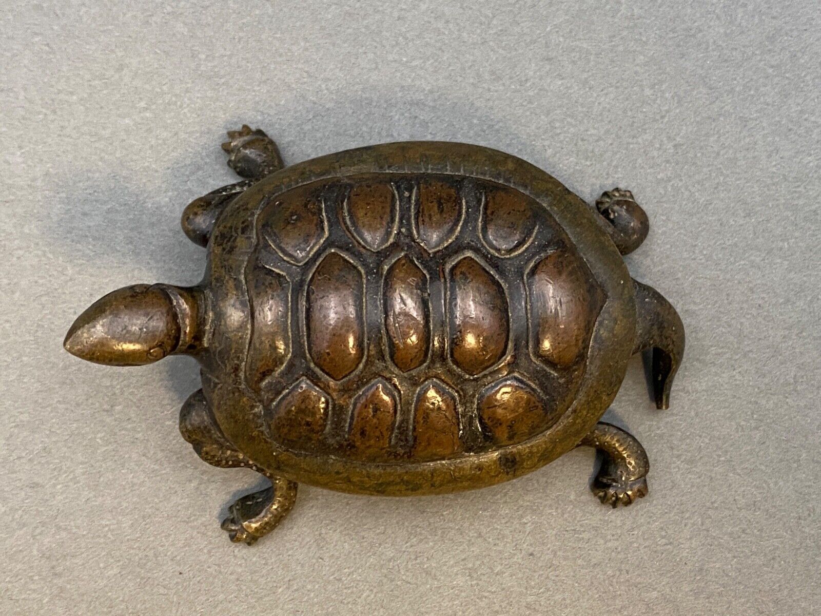 Bronze turtle XIXth Chocolate patina Fine carving