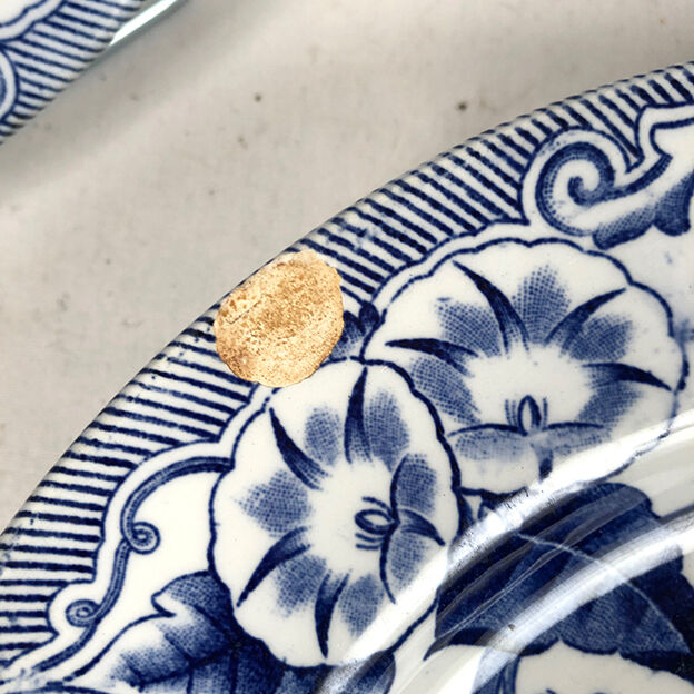 Creil & Montereau nineteenth series, Flora model. Ten flat plates