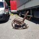 Rocking-chair vintage western wood and brown leather