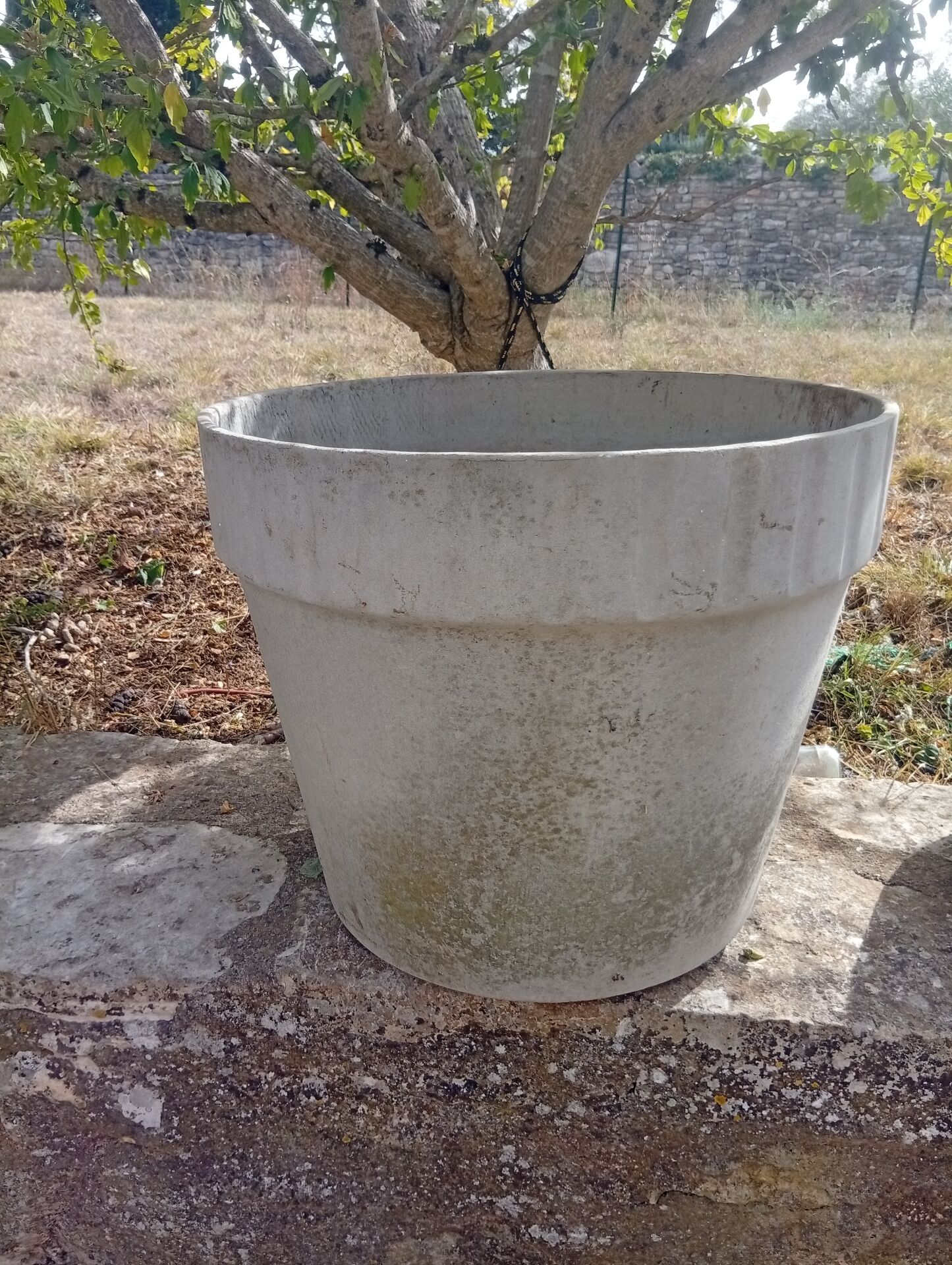 Willy Guhl planter