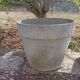 Willy Guhl planter