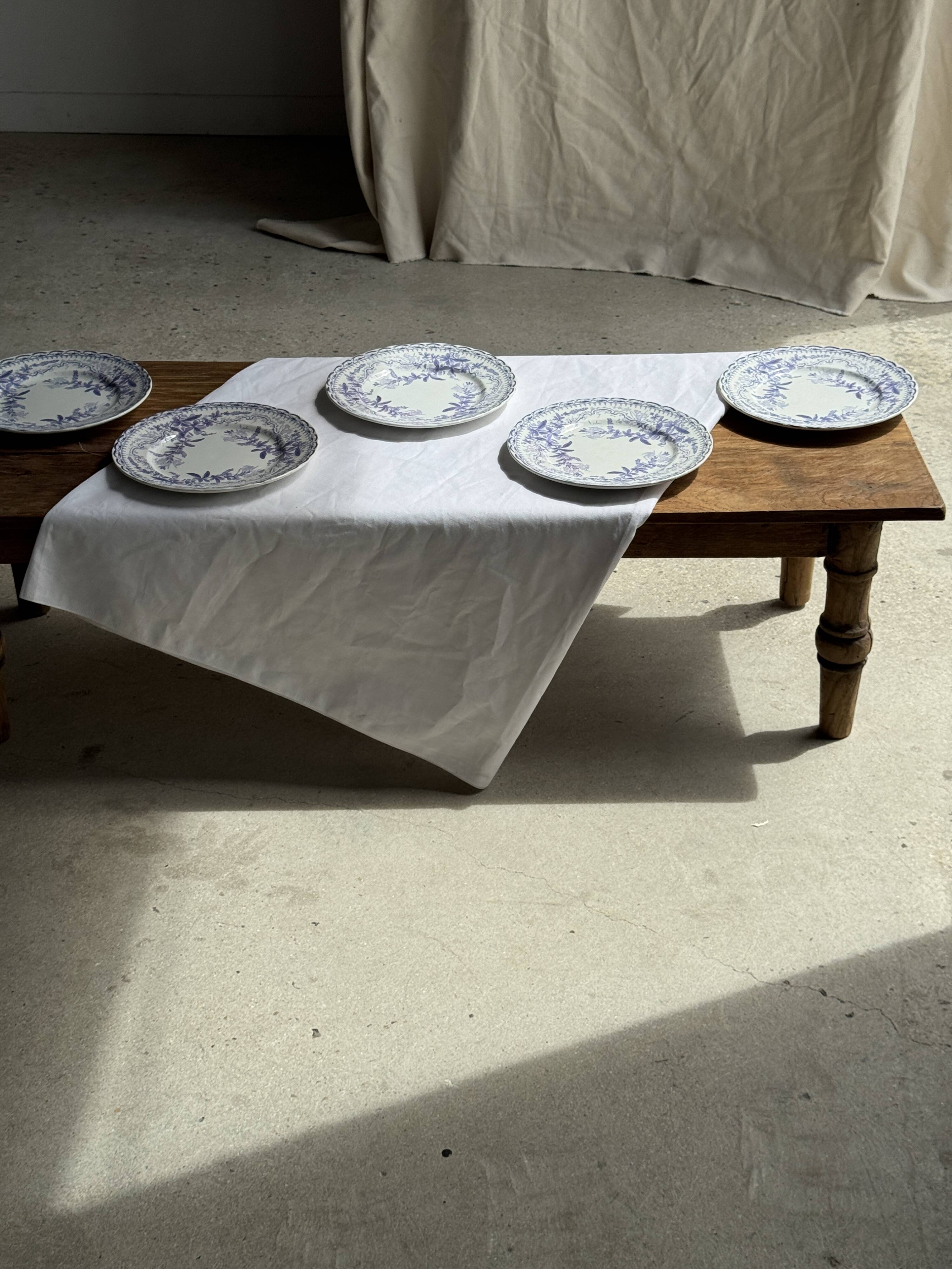Set of 5 flat plates in earthenware with a lavender floral design H2 D22