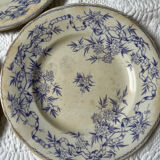 U&G Sarguemines Épine plates