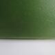 Green vinyl air hotesse -vintage