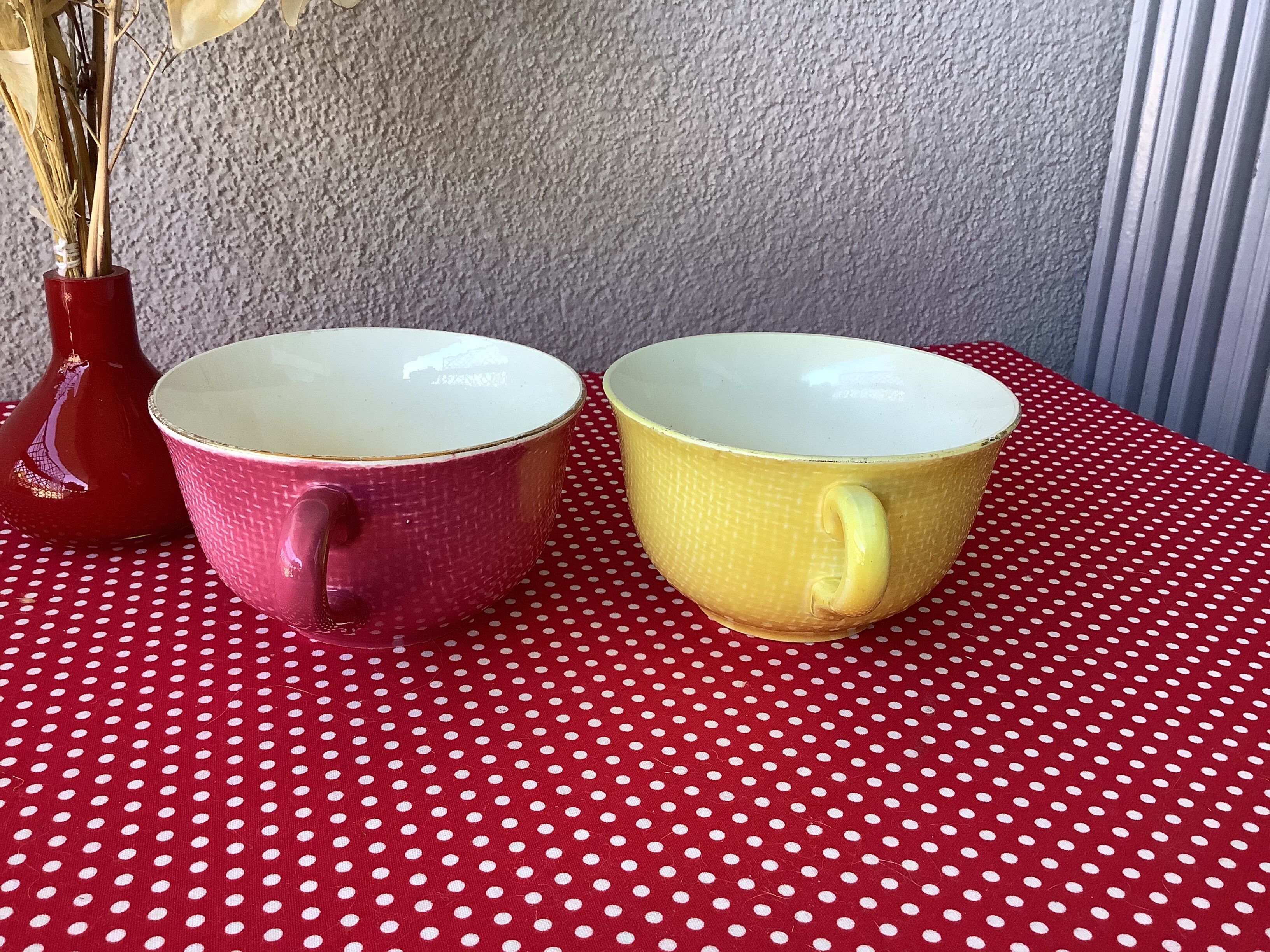 Salins France cups great model