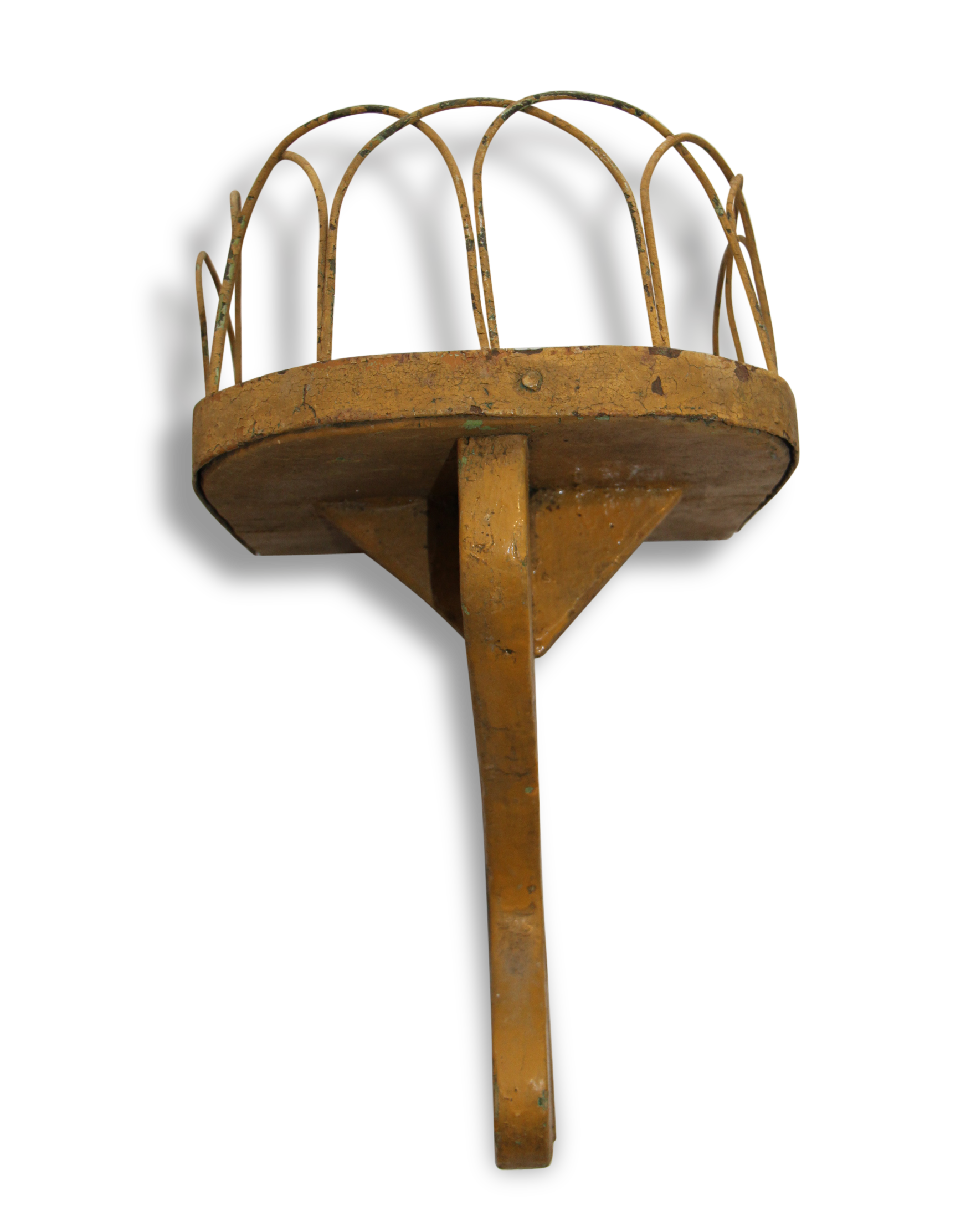 Plant yellow wooden door