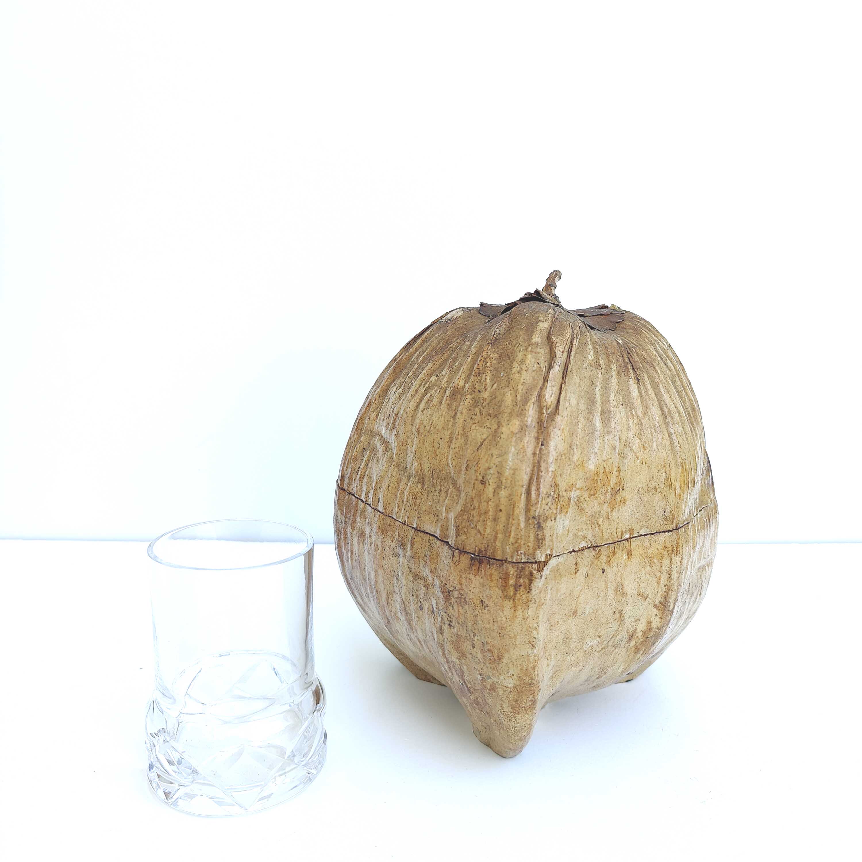 Vintage coconut ice bucket