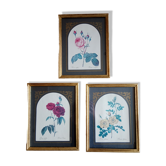 Illustrations florales encadrées