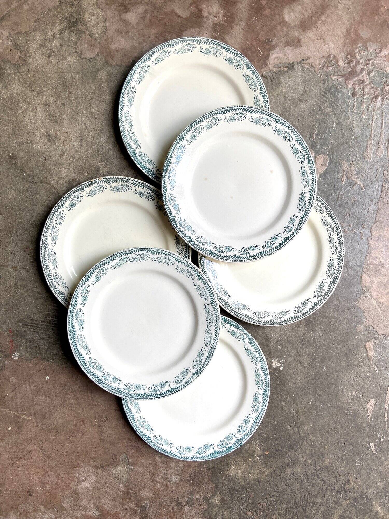 6 Salins flat plates in iron earth, “Moustiers” service