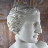 Bust of Venus – Aphrodite – White neoclassical sculpture – 32 cm