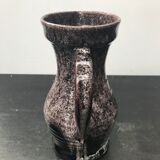 Accolay pitcher