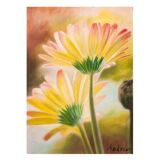 Drawing of daisies. drawn flowers. color drawing of daisies. drawing of flowers.