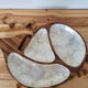 Empty wooden and mother-of-pearl whale pocket display