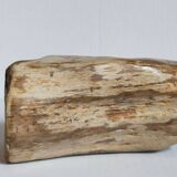 Free form sculpture in fossil wood