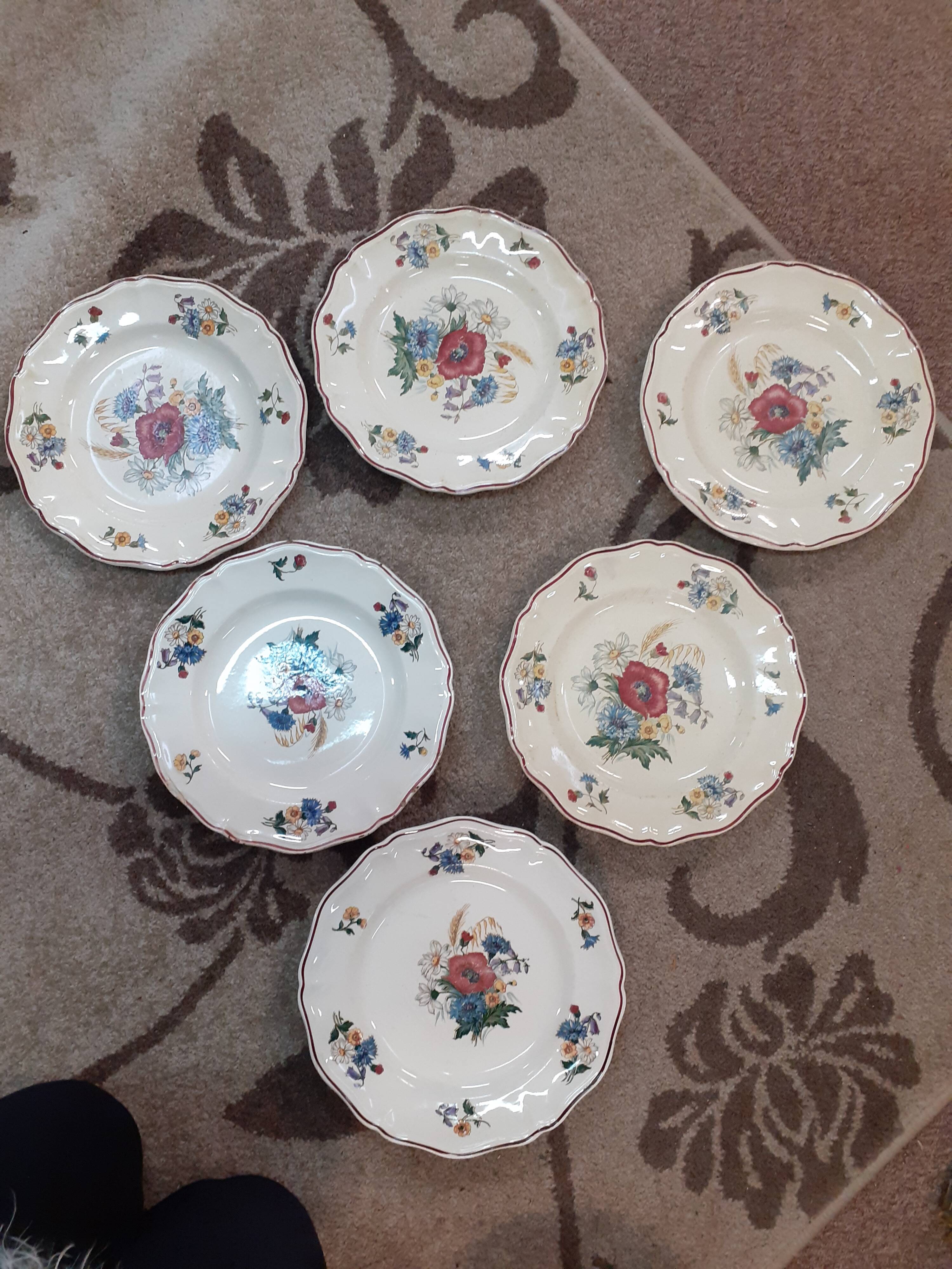 Lot of 6 flat plates Sarreguemines model aggressive