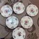 Lot of 6 flat plates Sarreguemines model aggressive