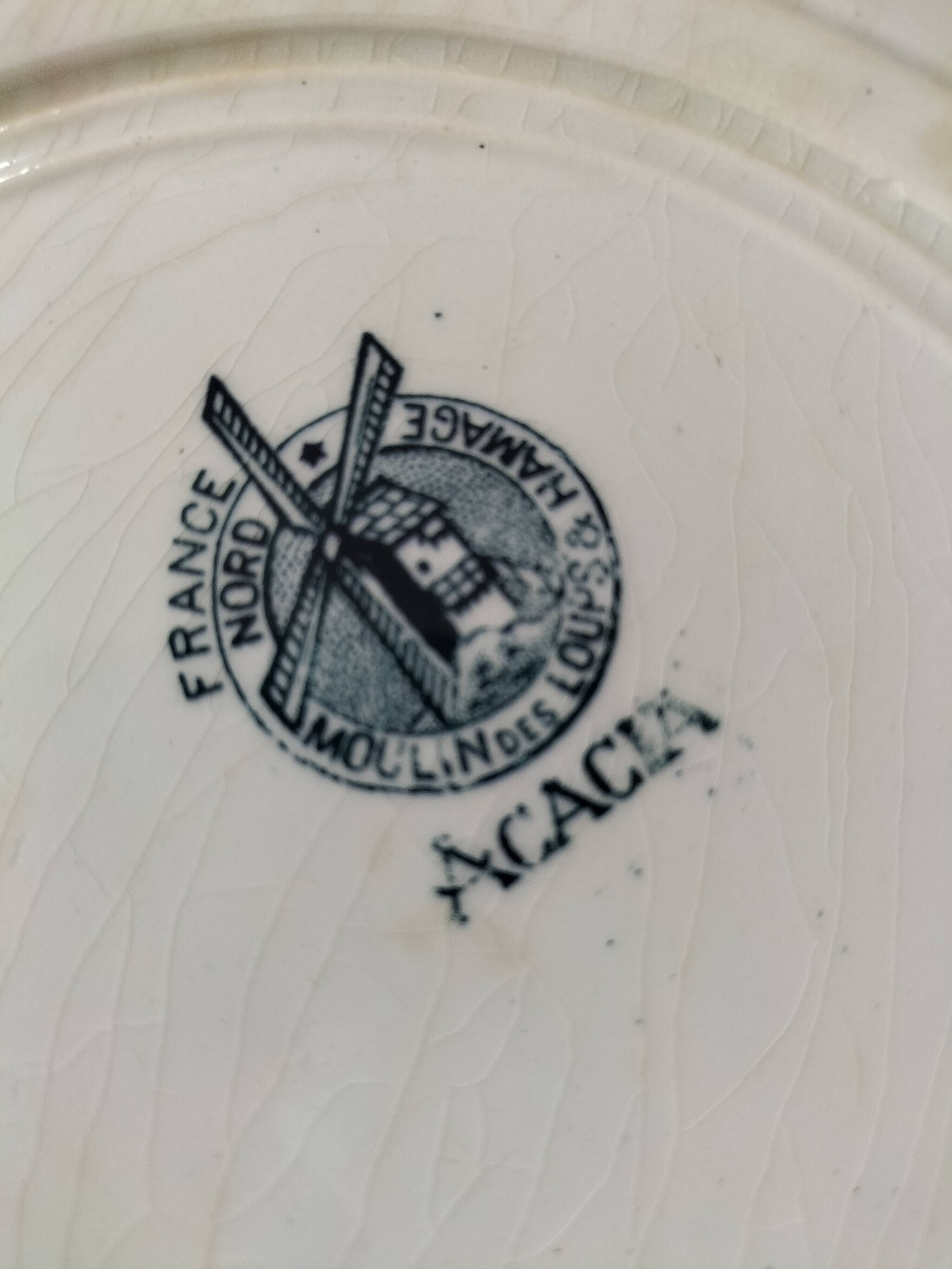 Set of 10 ironstone plates Moulin des Loups Acacia