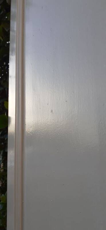 Pair of old cupboard doors h220.5xL75cm each