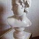 Head of a young man, plaster bust