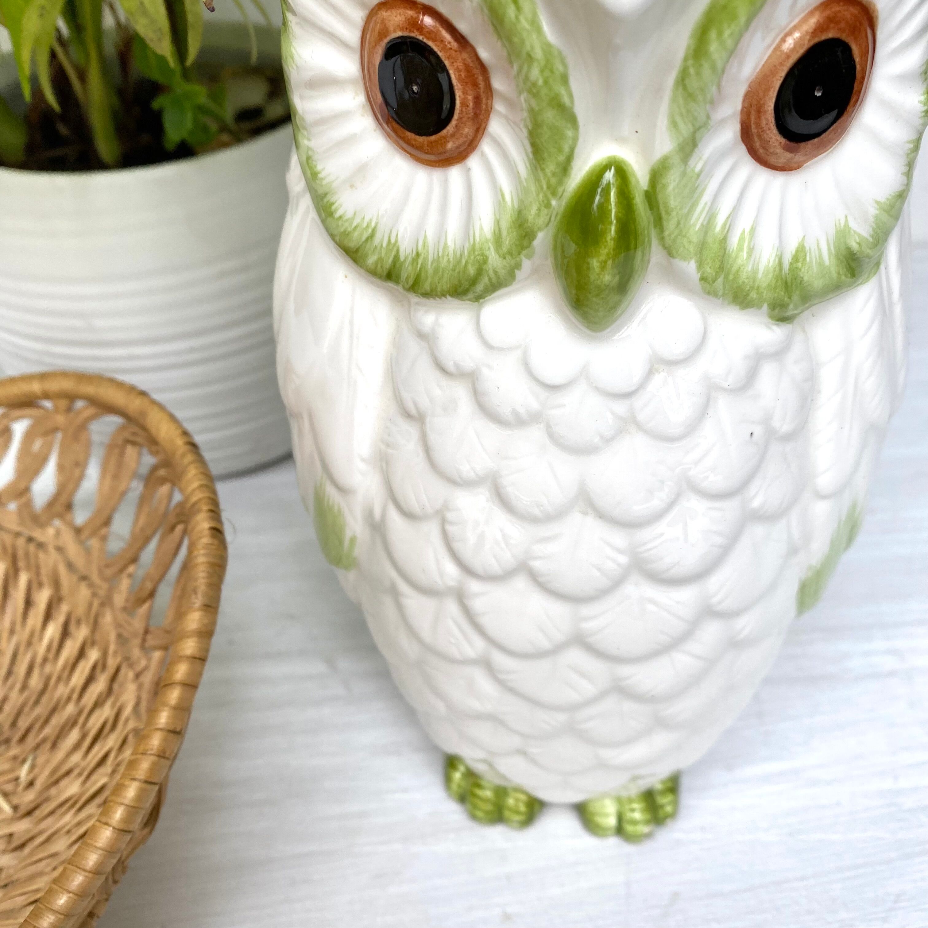 Pitcher in slurry owl