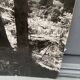 Bernard Darot film photograph, Flow of light in the forest, Nantes Club