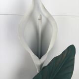 Applique arum