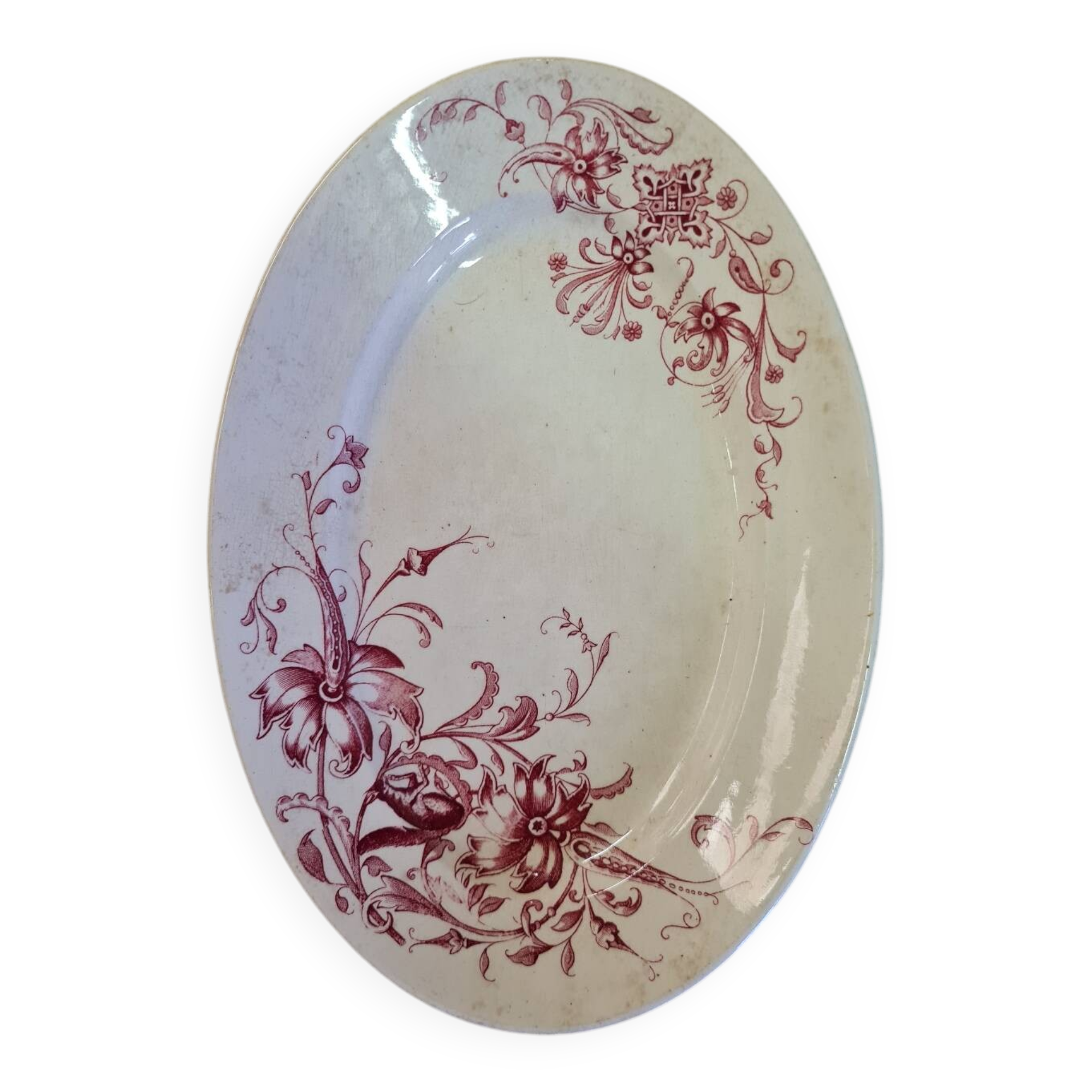 Samaritan squirrel model EC