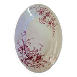 Samaritan squirrel model EC