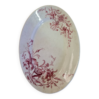 Samaritan squirrel model EC