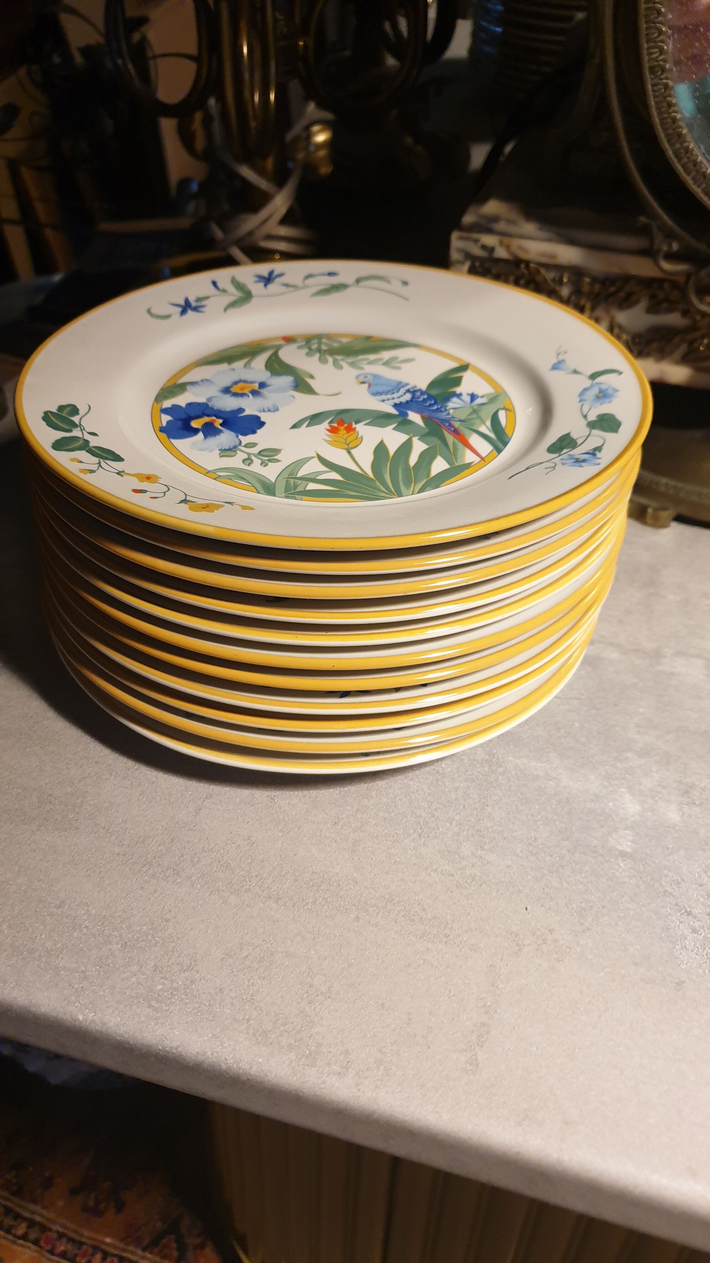 11 assiettes piert import