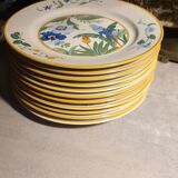 11 piert import plates