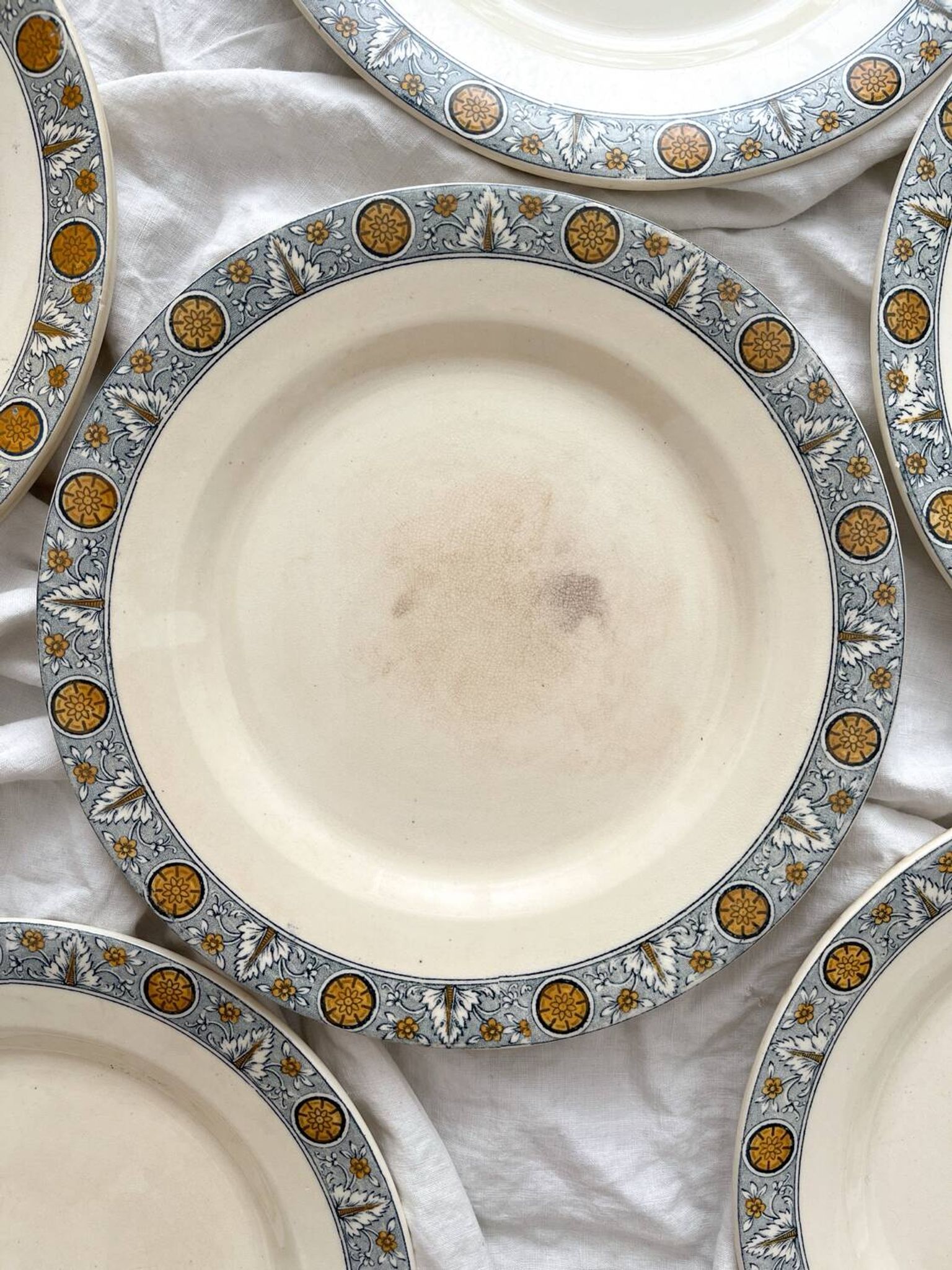 10 assiettes plates en terre de fer « Lamartine » Salins