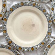 10 assiettes plates en terre de fer « Lamartine » Salins