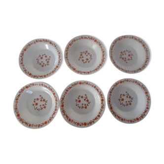 6 plates orange flowers model scania arcopal france vintage