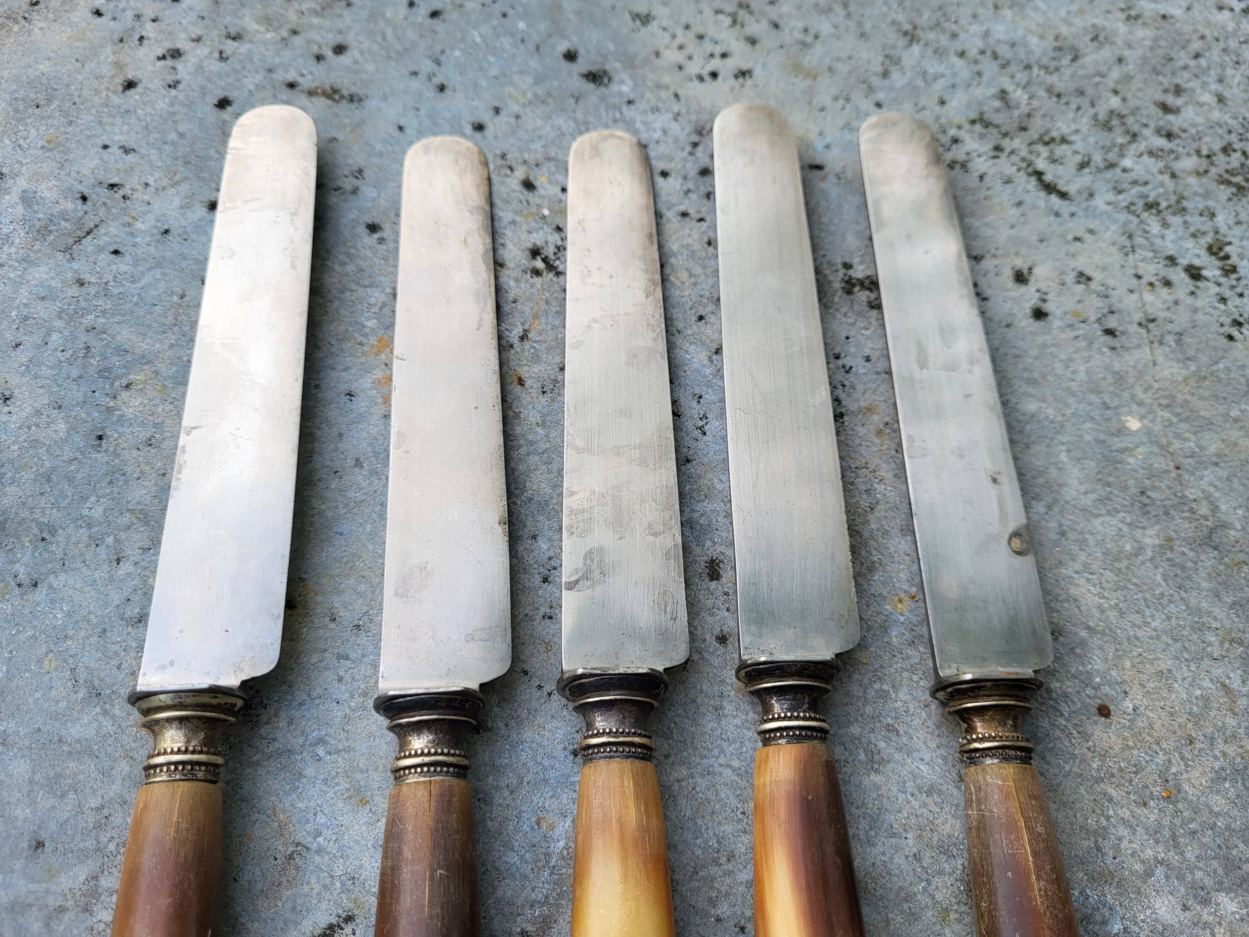 Series of 5 knives steel horn handle