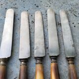 Series of 5 knives steel horn handle