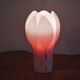 Plexi tulip lamp by Yngve ekstrom 1970