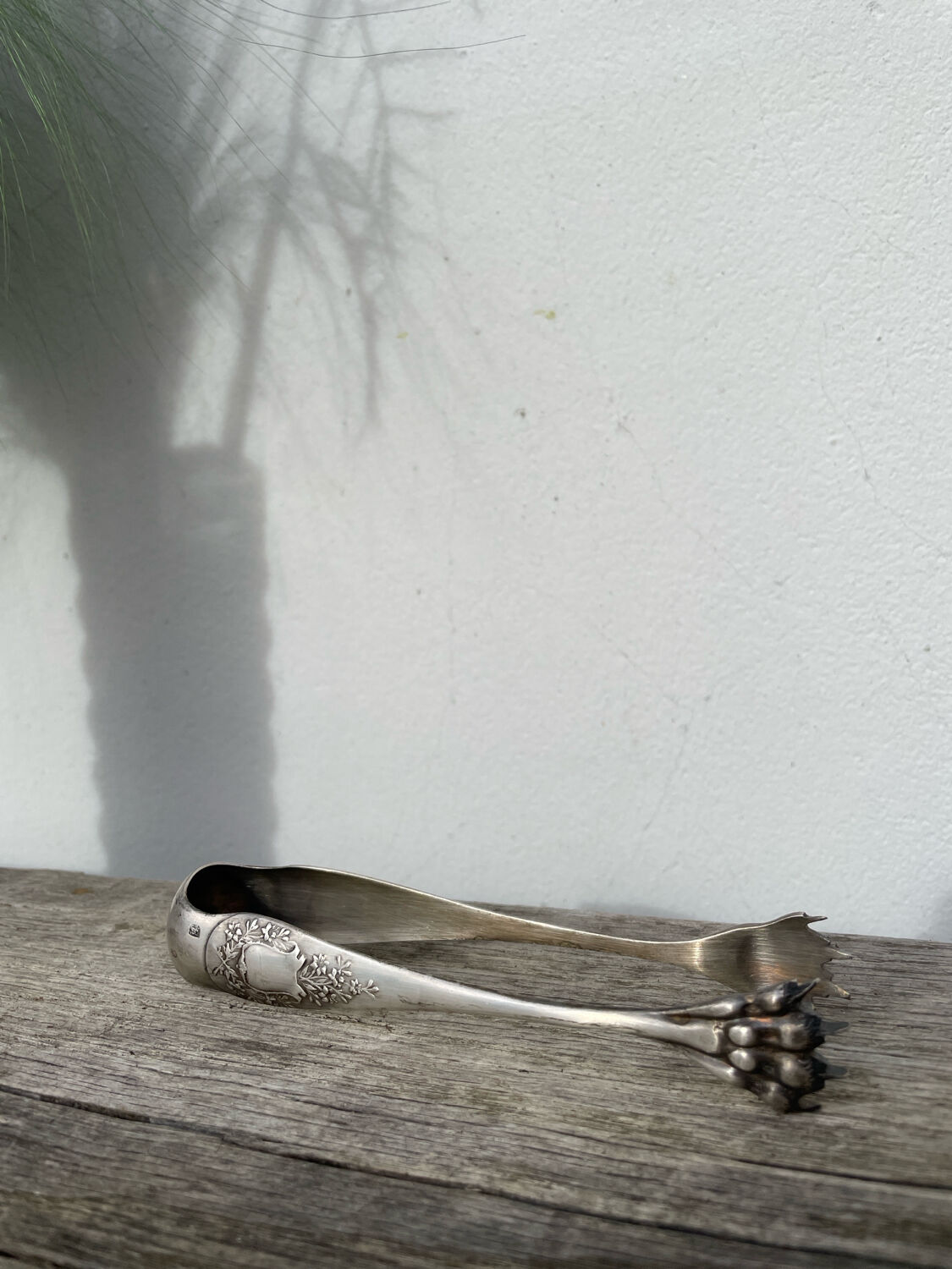 Silver-plated metal sugar tongs