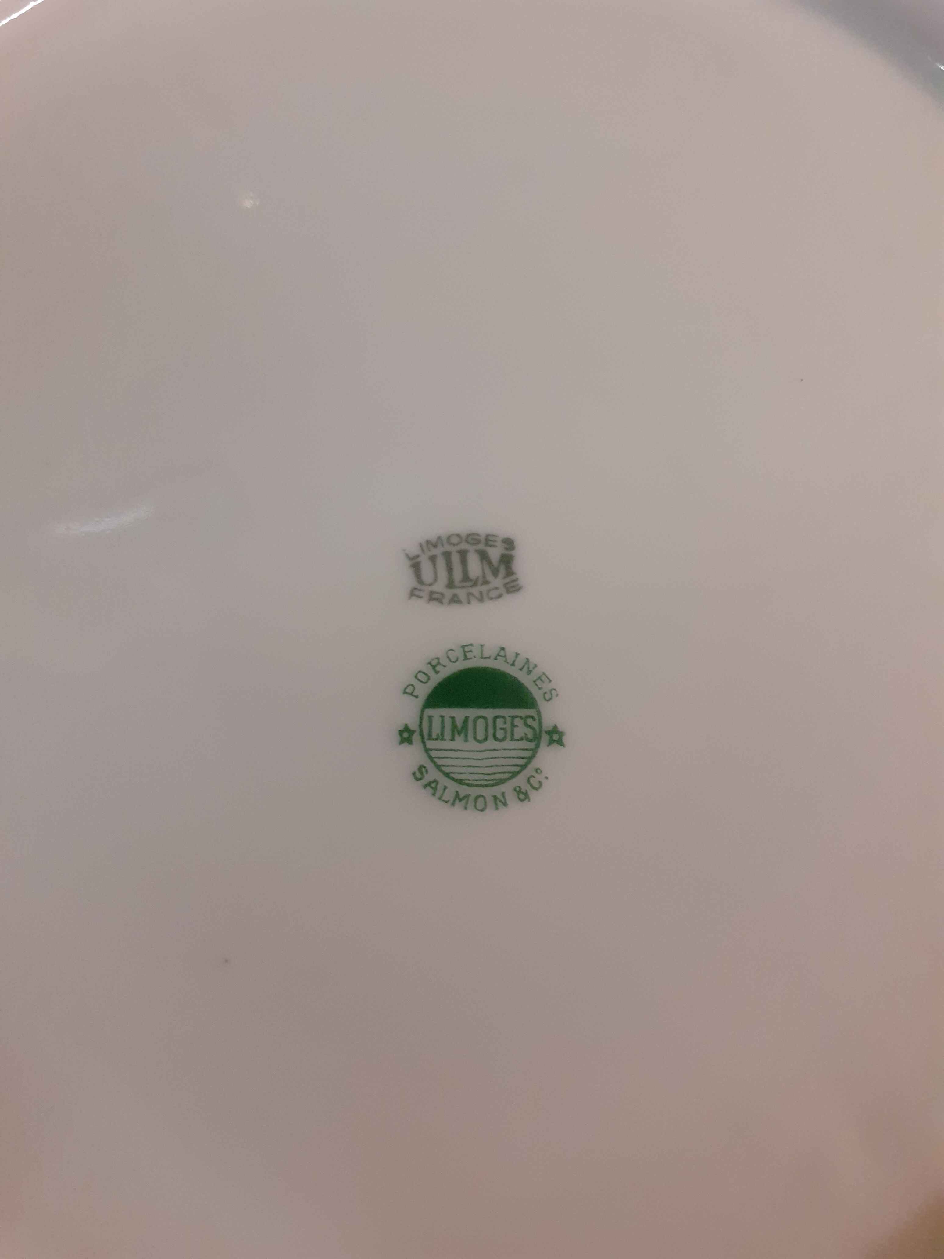 Limoges Salmon porcelain plates - 6 plates