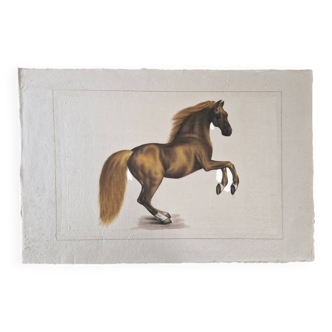 La Roche Laffitte (Born in 1943) - Watercolour drawing on fabric - Horse