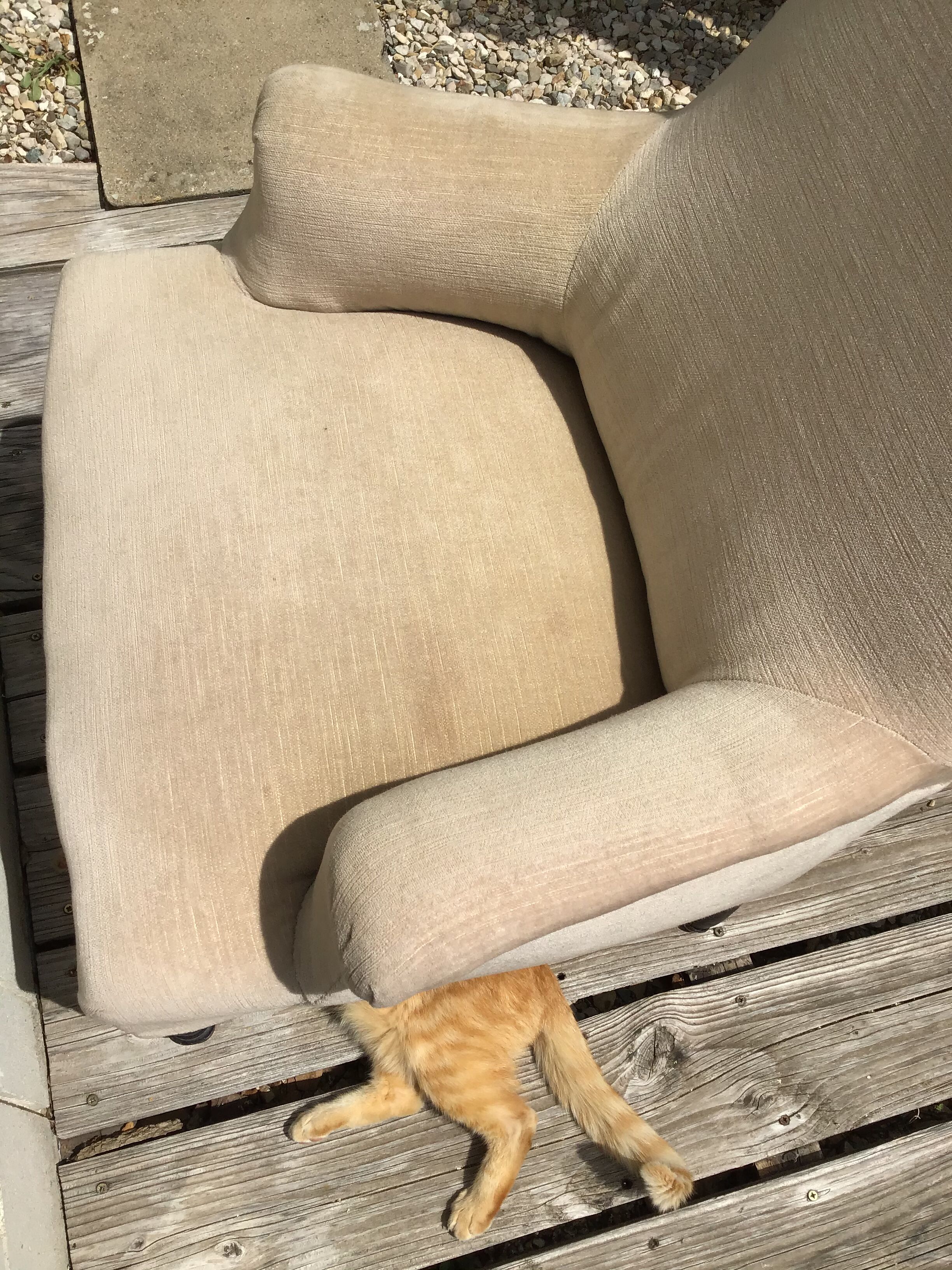 Napoleon lll armchair