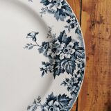 Old flat plates Marie-Louise